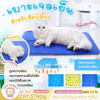 พร้อมส่ง ถูกที่สุด ?? ที่นอนเจลเย็นสำหรับสุนัข แมว แผ่นเจลรองนอน Pet cool mat ที่นอนแมว เบาะแมว เบาะนอนแมว บ้านแมว ของใช้แมว หมา แมว ที่นอนสุนัข บ้านแมว บ้านหมา เตียงนอนสัตว์เลี้ยง เตียงนอน