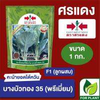 เมล็ดพันธุ์ ผักซอง ศรแดง คะน้า บางบัวทอง พรีเมี่ยม บรรจุ 1 กิโลกรัม