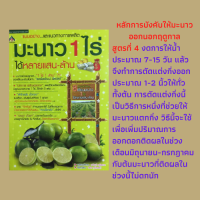 หนังสือเกษตร มะนาว 1 ไร่ ได้หลายแสน-ล้าน : หลักการปลูกมะนาว 1 ไร่ได้หลายแสน โรคและแมลงศัตรูมะนาว การขยายพันธุ์