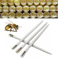 ODZ5L 6ชิ้น Apiculture Bee อุปกรณ์เครื่องมือแบบพกพาปากกาสำหรับปลูกถ่ายผึ้งเครื่องมือการเลี้ยงผึ้งที่ขูดเยื่อไม้ปาดน้ำผึ้ง