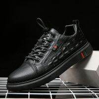 2020 New Men Shoes Summer Casual Imitation Leather Flat Shoes Lace-up Low Top Male Sneakers Tenis Masculino Adulto Shoes NanX287