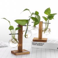 Creative Hydroponic Plant Vases Glass Hanging Pots Vintage Bonsai Flower Pot Terrarium Tabletop With Wooden Tray Home Decoration