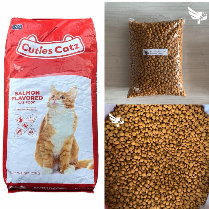 Cuties Catz Salmon Flavored 1kg Repacked - Loose - 1 kilogram - Dry Cat ...