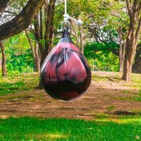 Heavy Bag Leakproof Water Punch Bag Boxing Bag Agility Training for Adult Child Sandbag Fitness Exercise Household Taekwondo