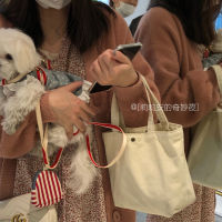 Lilian Macaron Color Tote Bag Womens New Hand Carry Schoolgirl Korean Cheese Apricot Mini Canvas Bag