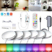 Full Set DC12V Tuya Wifi Under Cabinet Lights IR Remote Control Single ColorRGBCCT Dimmable LED Lamp Kitchen Lights Home Decor