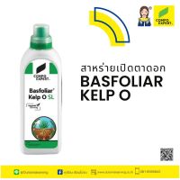 สารสกัดจากสาหร่ายทะเล Basfoliar Kelp O ผลิตภัณฑ์คุณภาพสูงจากเยอรมนี  สารกระตุ้นทางชีวภาพ  สกัดจากสาหร่ายทะเล