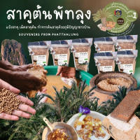 สาคูต้น สาคูพัทลุง สาคูแท้ ออร์แกนิค100% ขนมจากแดนใต้ วิธีทำง่าย หอม อร่อย กวนกับอะไรก็เข้ากัน