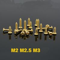 1 20PCS Grade 8.8 M2 M2.5 M3 Titanium Gold Plating self tapping screw half round head hexagon socket screw self tapping Wrench