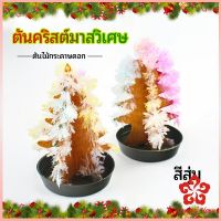 ต้นคริสต์มาสวิเศษ ต้นไม้กระดาษดอก ของขวัญแสนสนุก magical christmas tree