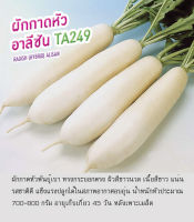 เมล็ดผักกาดหัว (RADISH SEED) พันธุ์อาลีซัน TA249 พันธุ์เบา ผิวสีขาวนวล เนื้อสีขาว แน่น รสชาติดี แข็งแรง น้ำหนัก 700-800 กรัมต่อหัว