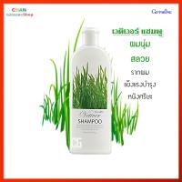 เวติเวอร์ แชมพู กิฟฟารีน แชมพู แชมพูสูตรอ่อนใส Giffarine Vetiver Shampoo