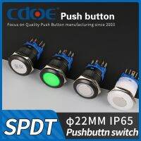 22mm nylon plastic 1no1nc 2no2nc waterproof ip65 6pins terminal electric push button switch