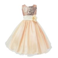 Flower Girl Kids Baby Xmas Bridesmaid Party Formal Sequin Ball Gown Dress 2-10Y