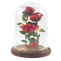 Large glass cover simulation rose flower pearl LED lamp decoration home craft decoration ornaments