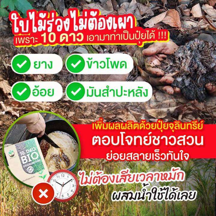 ส่งฟรี-10ดาว-ไบโอจุลินทรีย์-10-dao-bio-3-ซอง-ช่วยย่อยสลายฟาง-สสายหญ้า-ตอซังข้าว-กองใบไม้-หัวเชื้อจุลินทรีย์