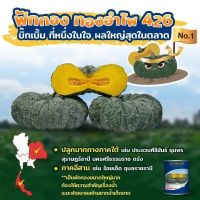 ฟักทองอำไพ426 100 กรัม