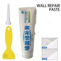 250g Wall Repairing Ointment Universal Mending Paste Repair Cream Grout Beautiful Sealant for Cracked Peeled Holes Wall Scraper