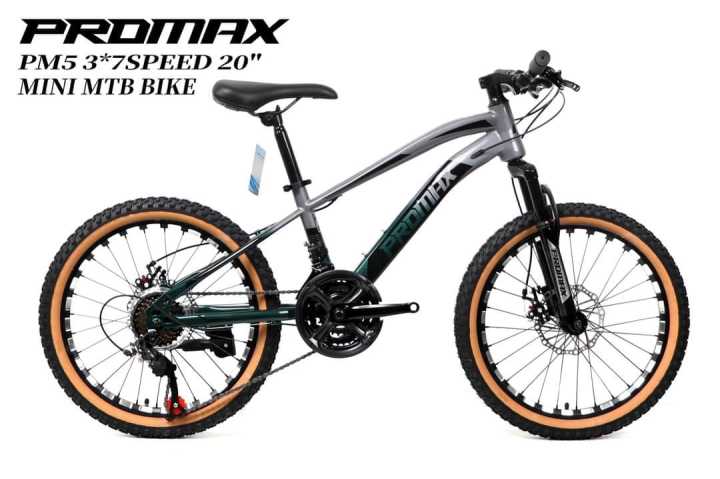 promax mountain bike