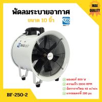 พัดลมระบายอากาศ พัดลมเป่า พัดลมระบายอากาศถังกลม พัดลมอุตสาหกรรม BIGAIR รุ่น BF 250-2 ขนาด 10 นิ้ว