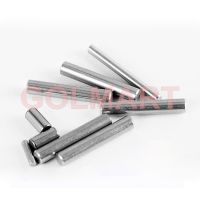 M4 M5 20 Mm 22 Mm 24 Mm 25 Mm 26 Mm Silinder Pin Lokasi Dowel Needle Roller Pendinginan Pengerasan