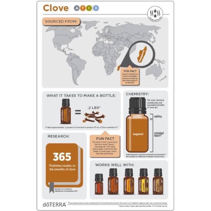 clove-กานพูล-15ml-พร้อมส่ง