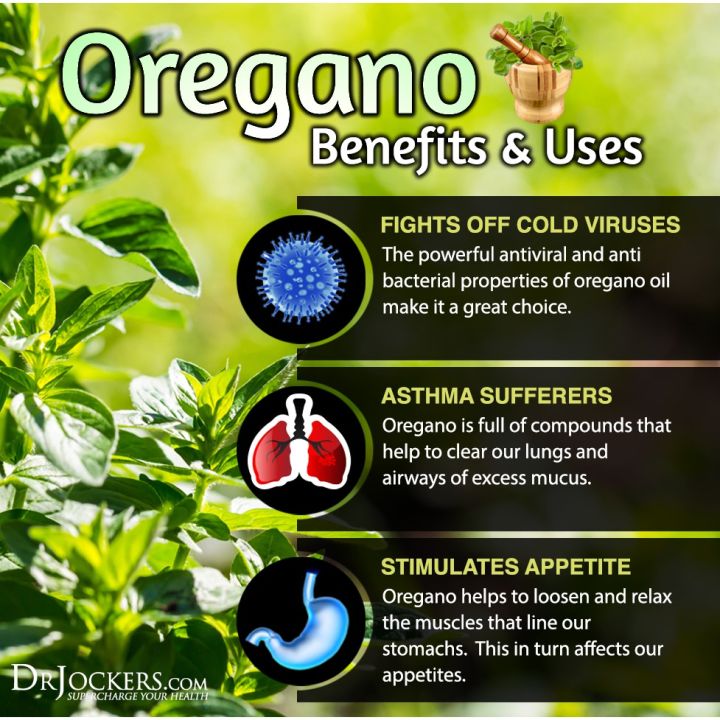 น้ำมันออริกาโนสกัด-oil-of-oregano-essential-oils-30-ml-now-foods