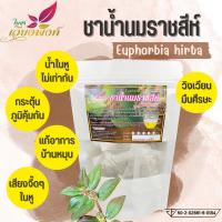 ชาน้ำนมราชสีห์ (ใบชาเวียงพิงค์) Garden spurge ขนาด 30 ซองชา สมุนไพรน้ำนมราชสีห์ บรรเทาอาการน้ำในหูไม่เท่ากัน เวียนหัว บ้านหมุน ช่วยกระตุ้นระบบภูมิคุ้มกันในร่างกาย