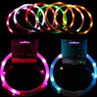 ◙✔ LED Lightening Dog Luminous Collar USB Charging Collar Teddy Anti Lost Collar luminoso Perro Pet Accessories Supplies