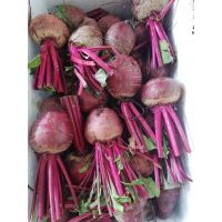 บีทรูท Beetroot เมล็ดพันธุ์ นำเข้าจากต่างประเทศ 50 เมล็ด ปลูกง่ายโตเร็ว [ซื้อ 10 แถม 1 คละได้]