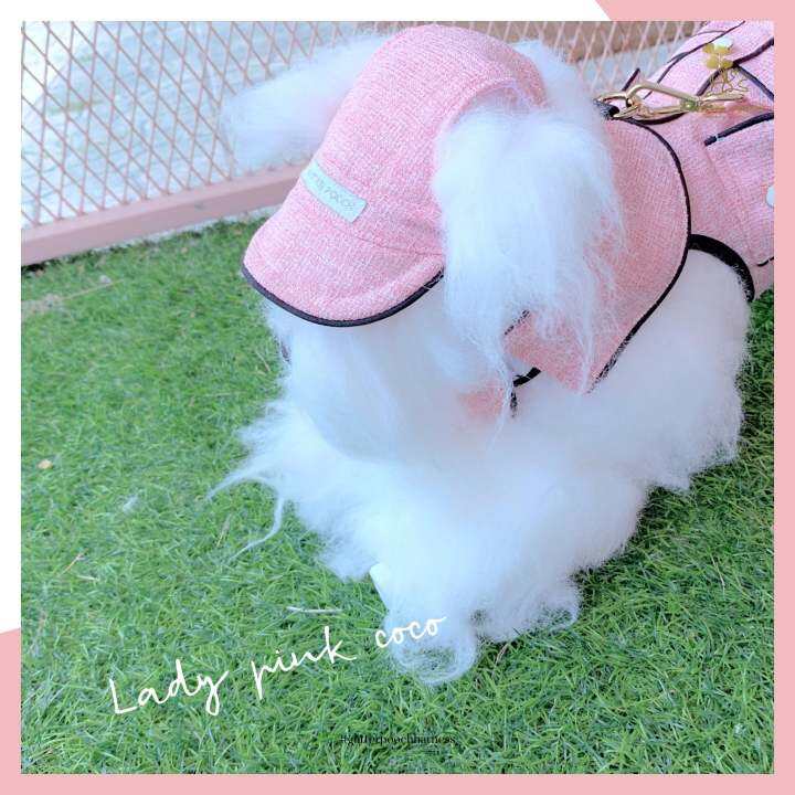 glitter-pooch-harness-ชุดรัดอก-สายจูง-เสื้อผ้า-สุนัข-หมา-แมว-สัตว์เลี้ยง-พร้อม-สายจูง-รุ่น-mini-coco