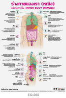 โปสเตอร์ อวัยวะในร่างกายหญิง #EQ-065 โปสเตอร์กระดาษอาร์ตมัน สื่อการเรียนการสอน สื่อการเรียนรู้