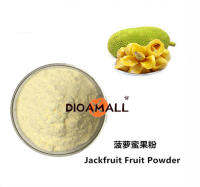 【High Quality Fast Delivery】菠萝蜜粉 天然果蔬粉 速溶 1kg ผงขนุนผงผลไม้ธรรมชาติและผักผงสำเร็จรูป 1kg