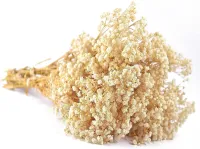 Graceful Babys Breath Dried Flowers for Wedding Arrangements, Home Decor, and Gift Giving,bathroom Decorartificial Plants