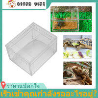 【ราคาถูกคุณภาพดี】กล่องเพาะพันธุ์สัตว์เลื้อยคลาน Tarantula Insect Feeder Lizard Amphibian House