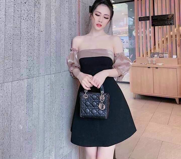 Váy Phi Bóng Dự Tiệc Giá Tốt T072023  Mua tại Lazadavn