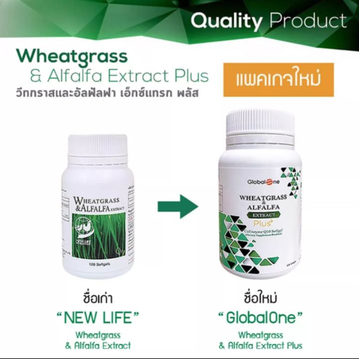 ผักเม็ด-wheatgrass-ขวดใหญ่-120ซอฟเจล-ผักเม็ดนิวไลฟ์-newlife-wheatgrass-เปลี่ยนชื่อเป็น-globalone-wheatgrass-amp-alfalfaq10-ผักเม็ด-นิวไลฟ์