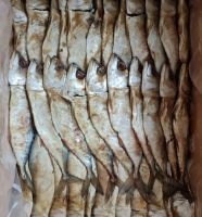 ปลาทูหอมแท้ คัดพิเศษ เค็มอร่อย น้ำหนัก500กรัม (KSQUID-อาหารทะเลแห้ง)
