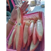 {HUYE Outdoor Store} เหยื่อปลาหมึกเรืองแสง36ซม. (ลดราคาถูก)