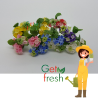 Get Fresh ดอกไม้ดินปั้น 10 ต้น ,ดอกไม้จิ๋ว ,ดอกไฮเดนเยีย,  Miniature Clay Flower , Fake Flower ,  ขนาดวัดด้วยมือประมาณ 2.5 x 6 cm  เกรดสวยงานละเอียด