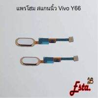 แพรโฮมสแกนนิ้ว [FingerScan-Flex] Vivo Y66,Y85,Y95