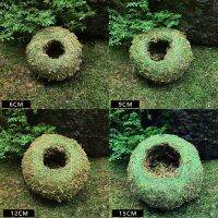 Moss Ball Pot Planter Seeding Plants Growing หน้าแรกงานแต่งงานของตกแต่งงานปาร์ตี้ G5AB