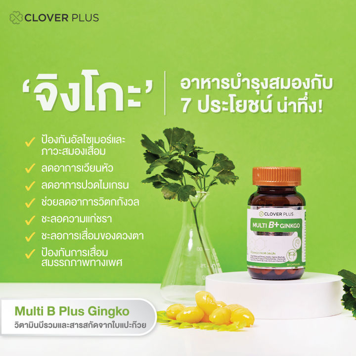 clover-plus-multi-b-ginkgo-มัลติบี-พลัส-จิงโกะ-สารสกัดจากใบแป๊ะก๊วย-7-แคปซูล-x-5-ซอง-อาหารเสริม