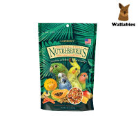 Lafeber Tropical Fruit Nutri-Berries for Cockatiels (284g.) อาหารคอกคาทีลทรอพพิคอลฟรุตเกรดพรีเมี่ยมออร์แกนิค