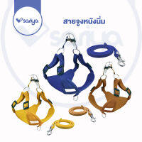 SARIYA สายรัดอกสัตว์เลี้ยง หนังนิ่ม สายจูงแมว สุนัข (CE02) Suede Pet Harness