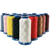 Polyester Car Seat Belt