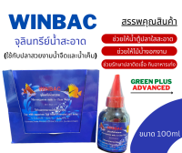 WINBAC จุลินทรีย์น้ำสะอาดใช้กับปลาสวยงามน้ำจืดและน้ำเค็ม ขนาด 100ml