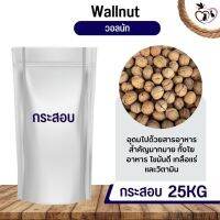 ถั่ววอลนัท WallNut Pea อาหารนก กระต่าย หนู กระต่าย กระรอก ชูก้า และสัตว์ฟันแทะ (กระสอบ 25KG)