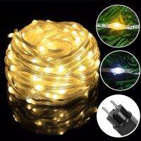 New Arrive Street Led Garland Christmas Outside IP65 String Lights 30M 50M 100M 24V EU Plug Decoration For Tree House Holiday