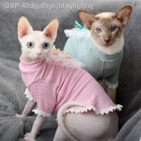 ☂☼ชุดลูกแมวเร็กซ์เท้าสั้นปี2023แมวไม่มีขนชุดแมวสวม Sphynx